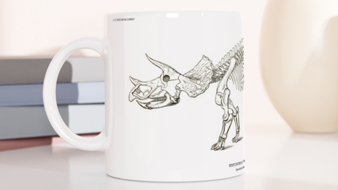 Mugs illustrés avec des gravures anciennes inspirées par l’histoire naturelle, les sciences et l’art graphique