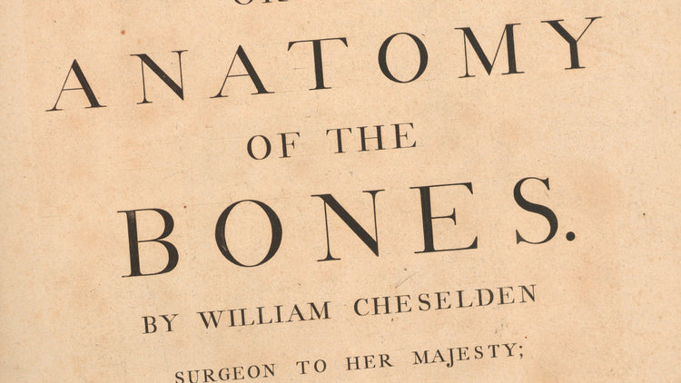 T-shirts Ostéographiques : Gravures Anatomiques de William Cheselden
