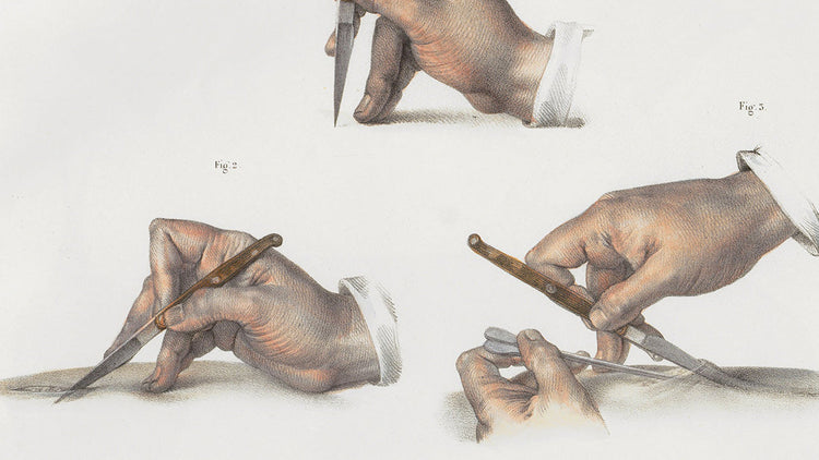 Planches Anatomiques Anciennes: Reproductions d'Illustrations Médicales d'Époque