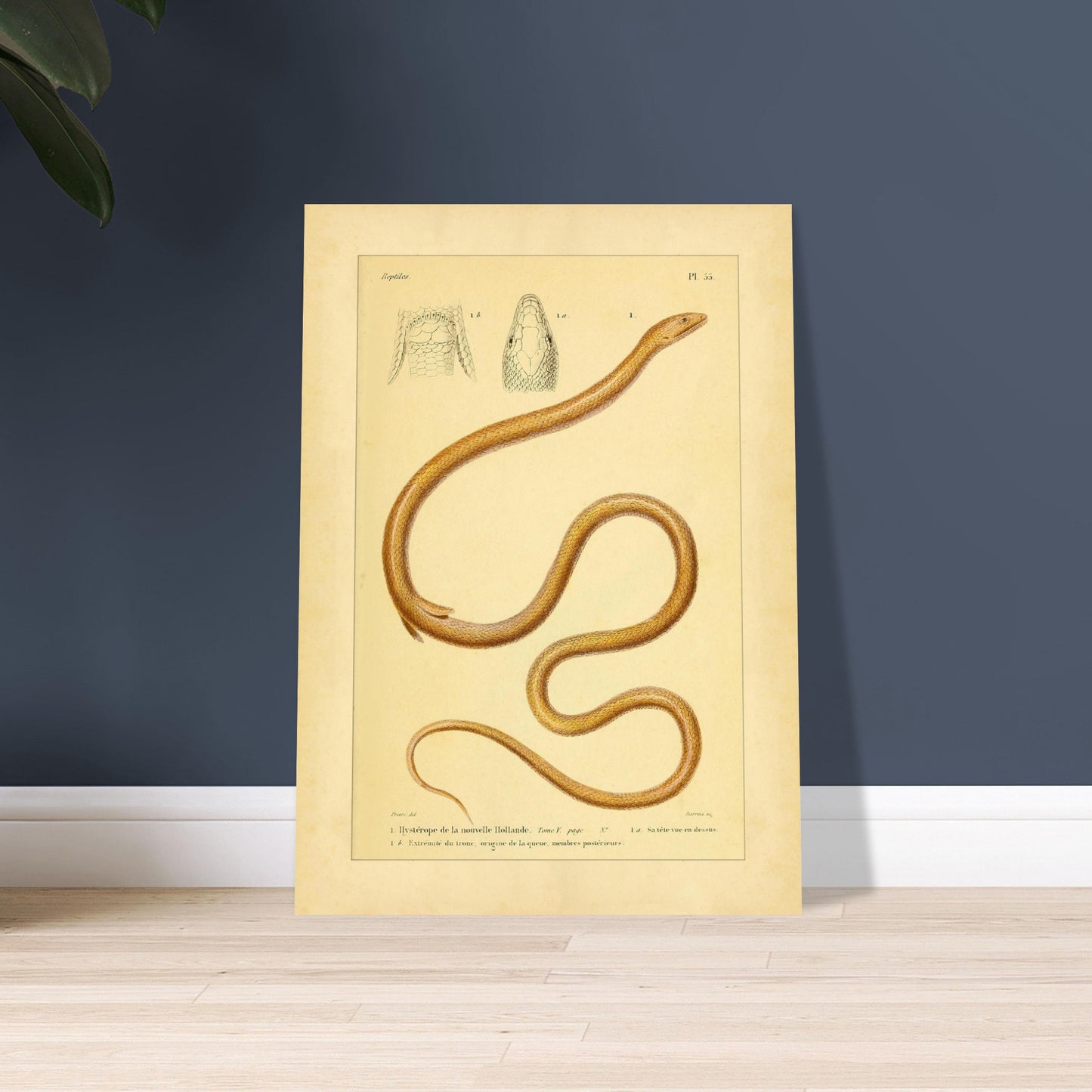 0083460b-e64c-4433-ba0b-090651014f86