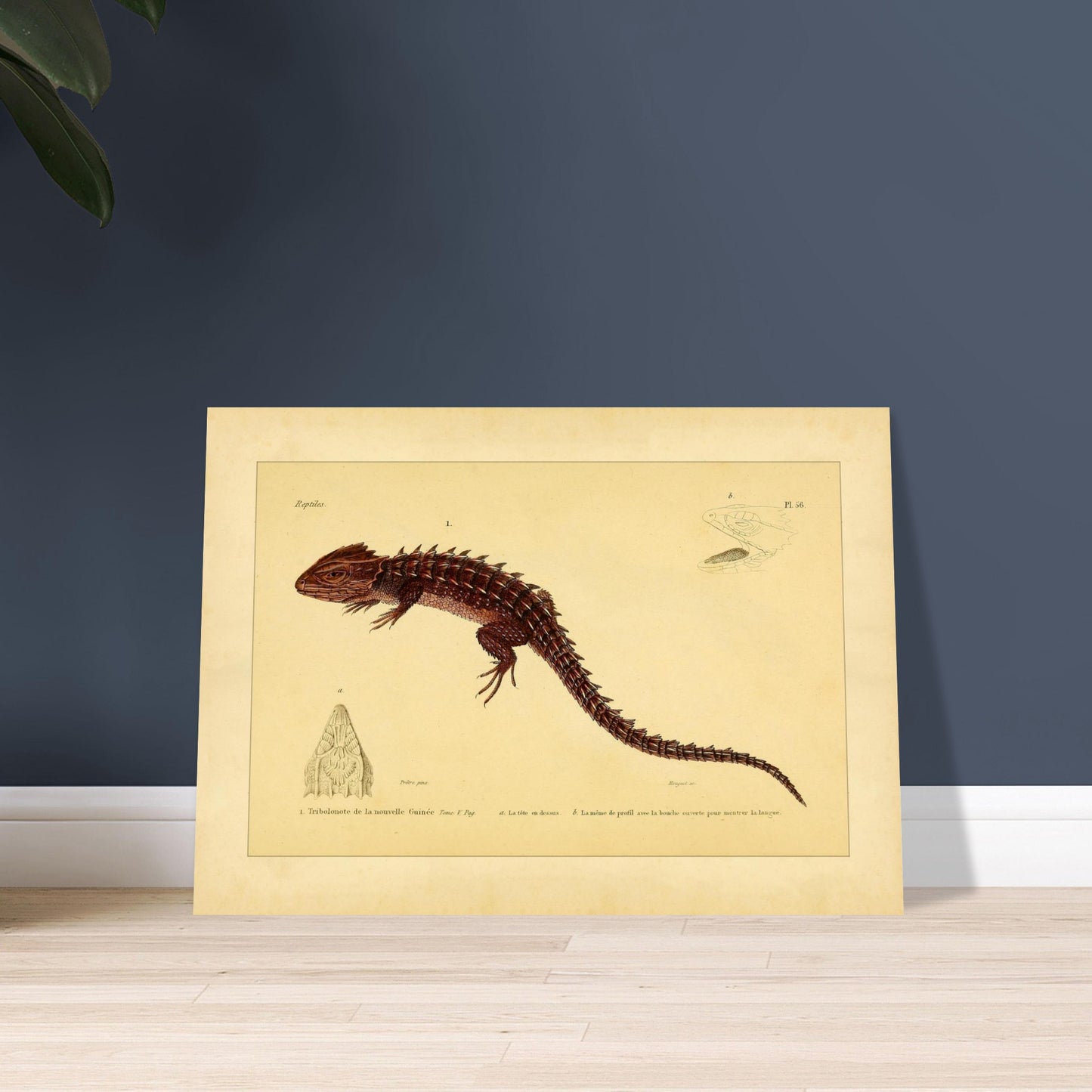 0fc8db2c-b917-4024-b2ae-af53783dfec1