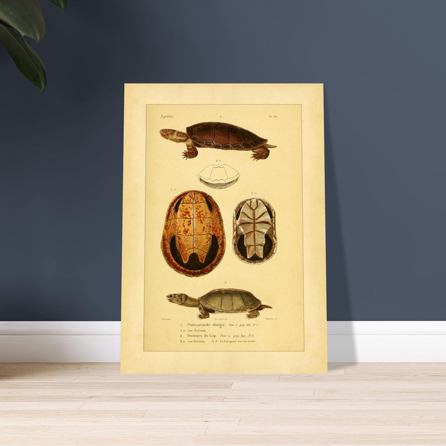 123863c3-a9bf-42df-b757-da5b5895b934