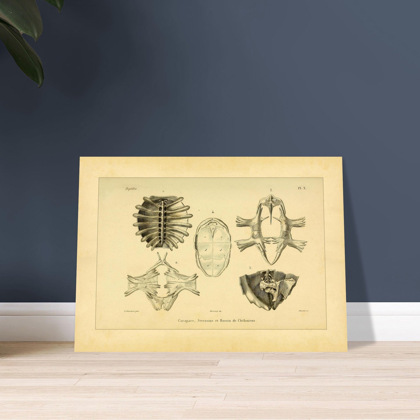 1b6decdf-0eb3-458d-8b84-40112a9c92cf