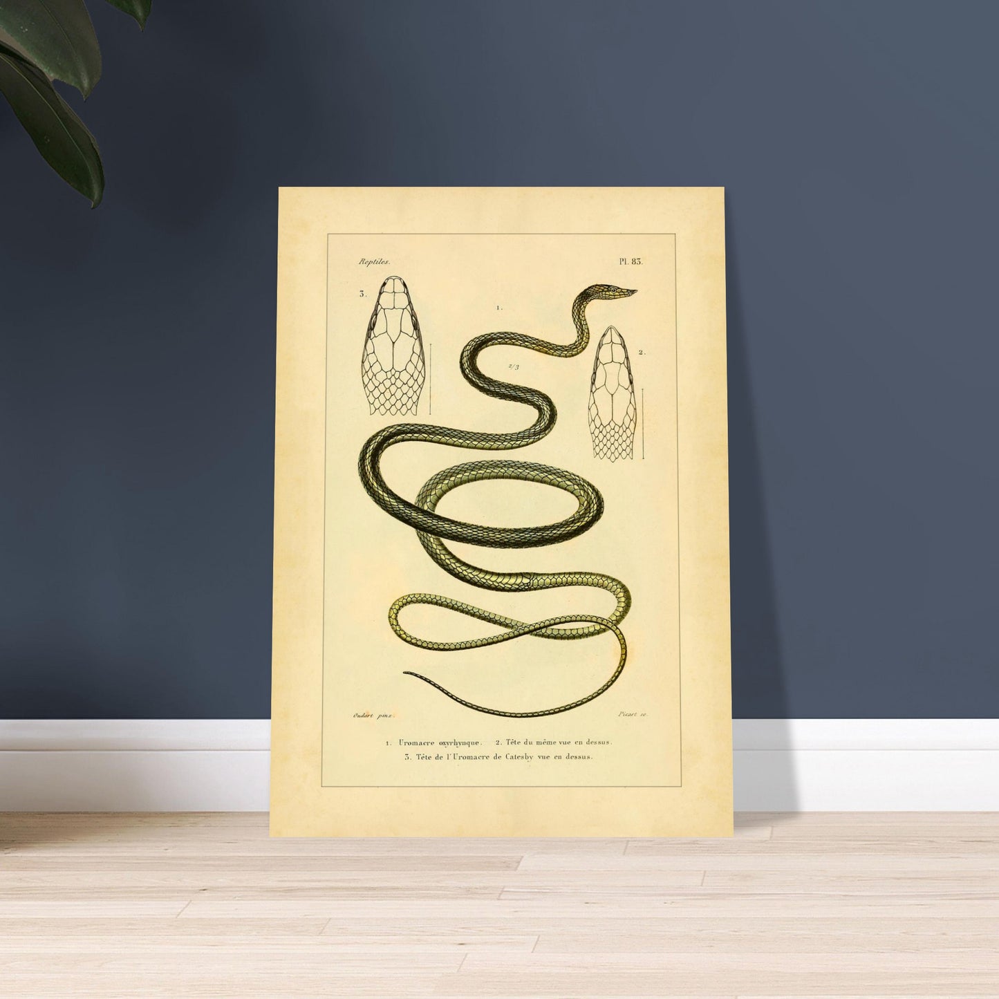 21318d42-1e0e-46a3-bea0-5715d832cc7e