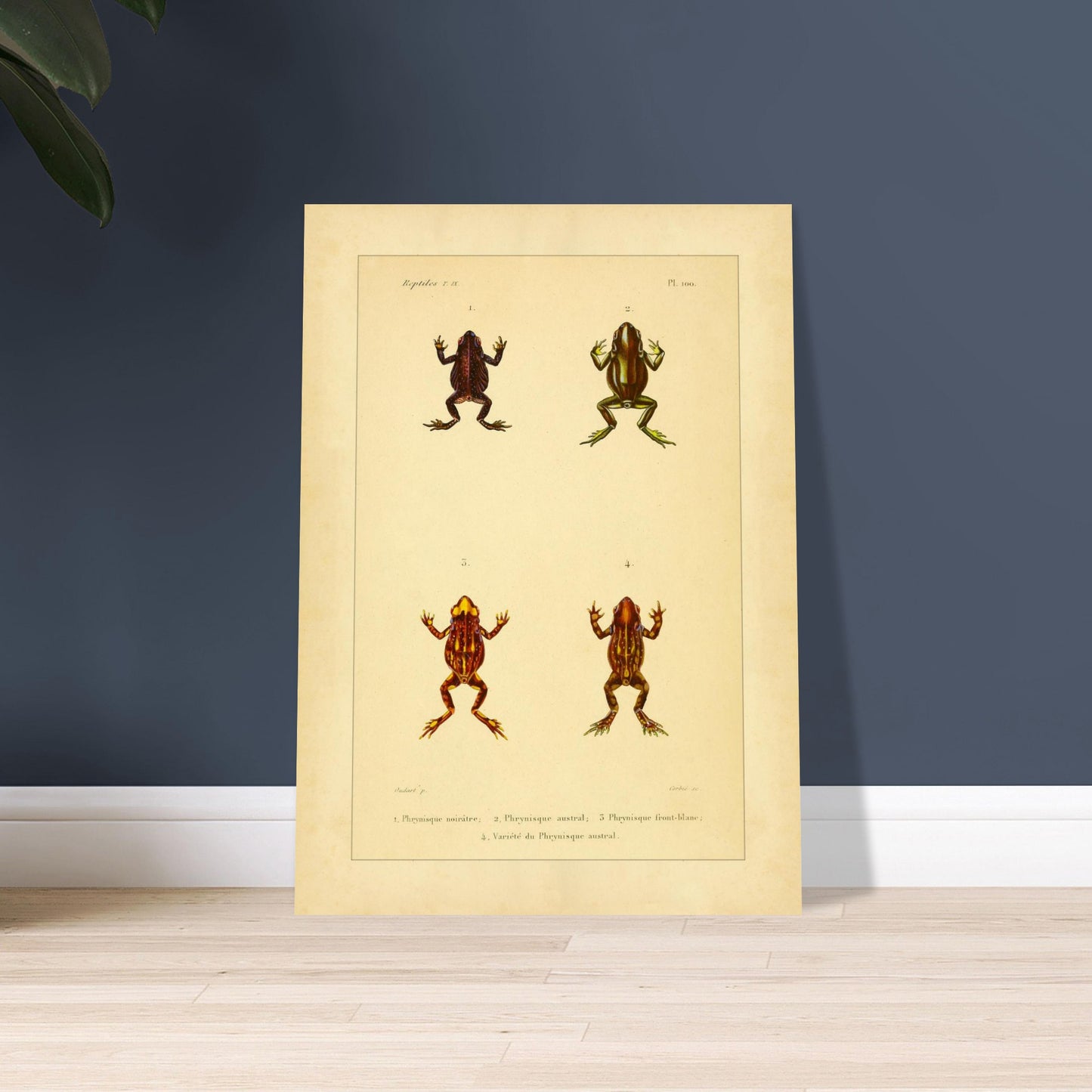 216b3c86-5505-49b5-8ab0-34bb70a3b4da