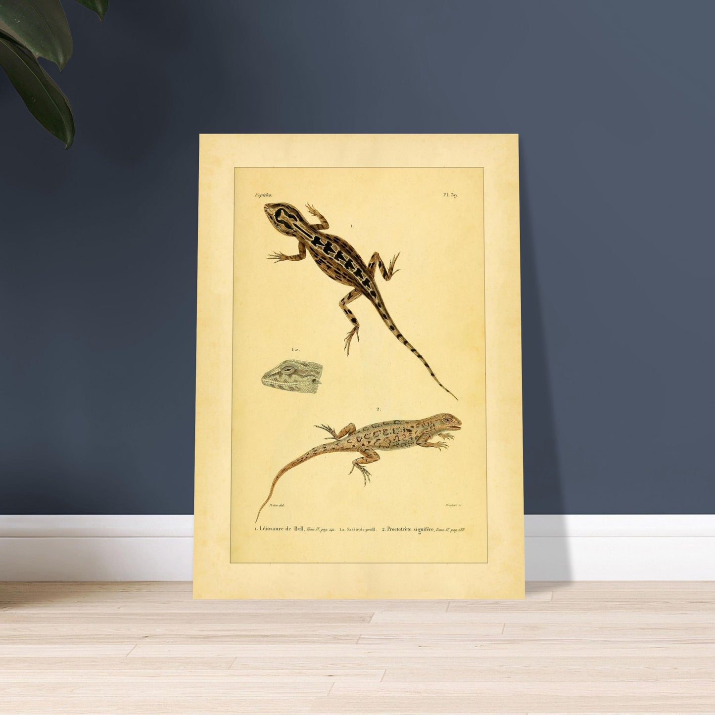 2ec30ecc-f581-432a-b319-170eb88b99ea