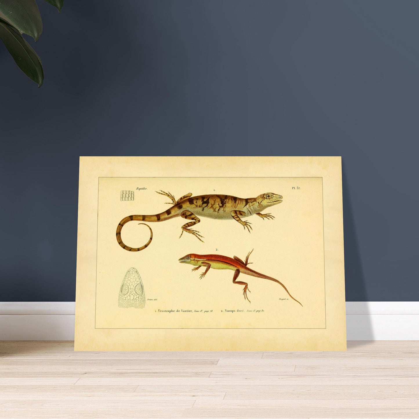 3833e961-4724-4e31-8527-519e5dd4ec23