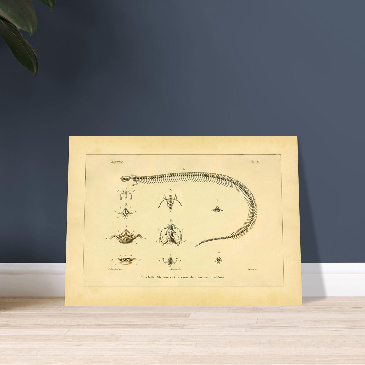 391003d4-23b6-44d3-a136-7a514e1b63c3