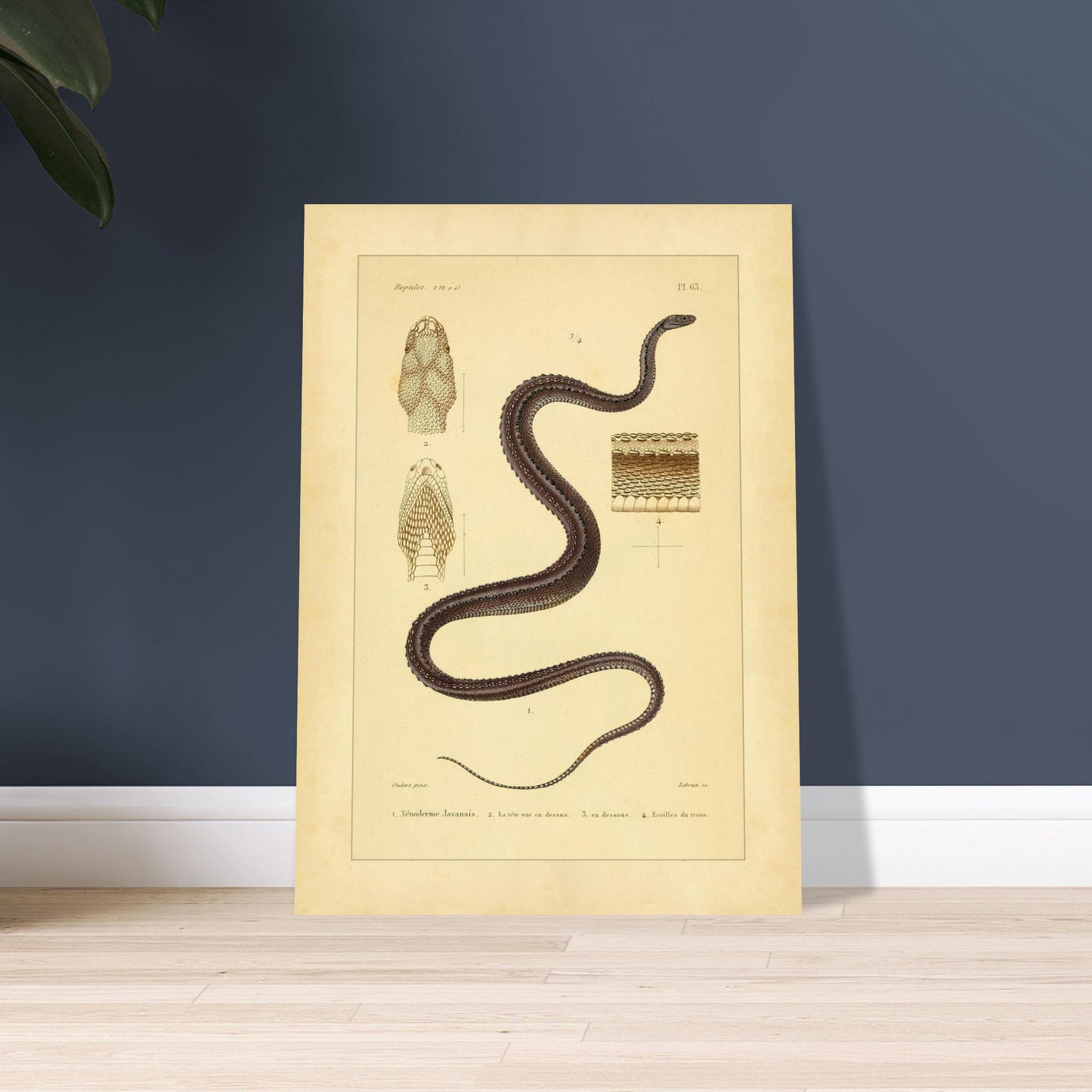 45e52524-6502-43fe-9b9a-f1a34d6f93d4