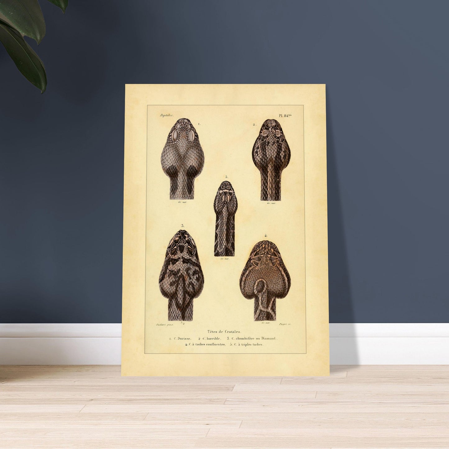 4b6983e5-bbe0-464d-b718-db6775735eb0