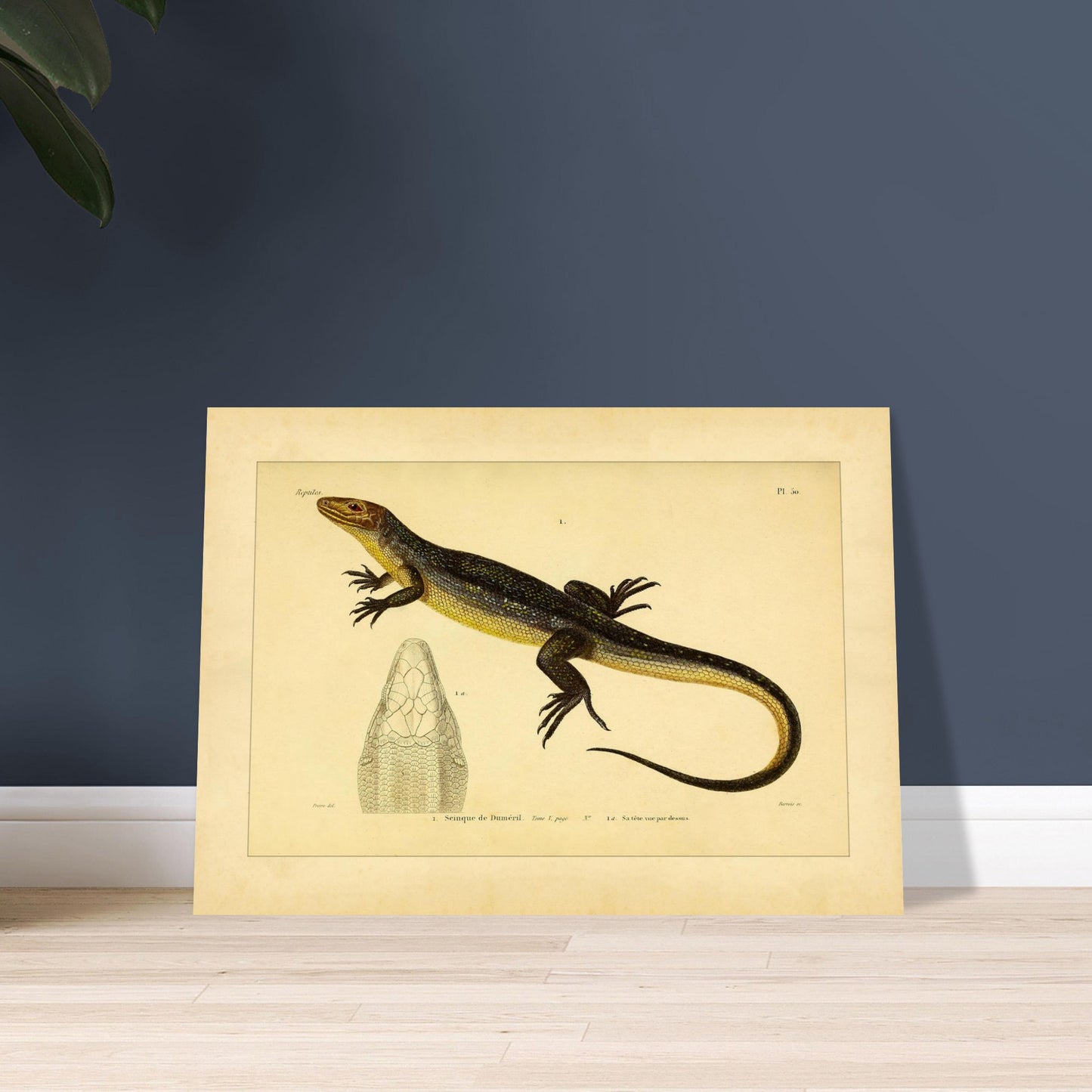 4bb4cdcd-269a-4d69-ae0d-8976d4871861