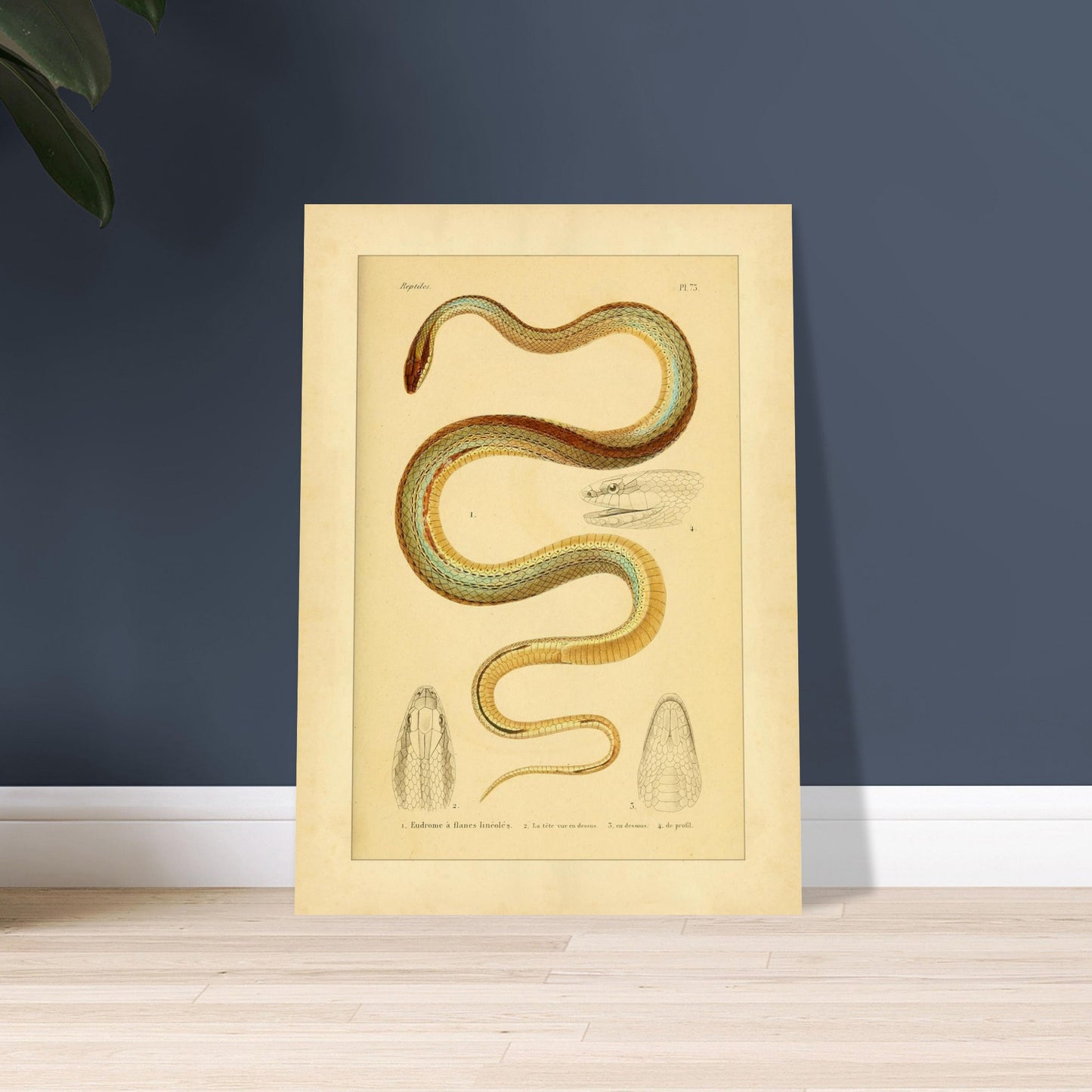 5e2be49d-28f3-47bb-8bce-3e51e7871103