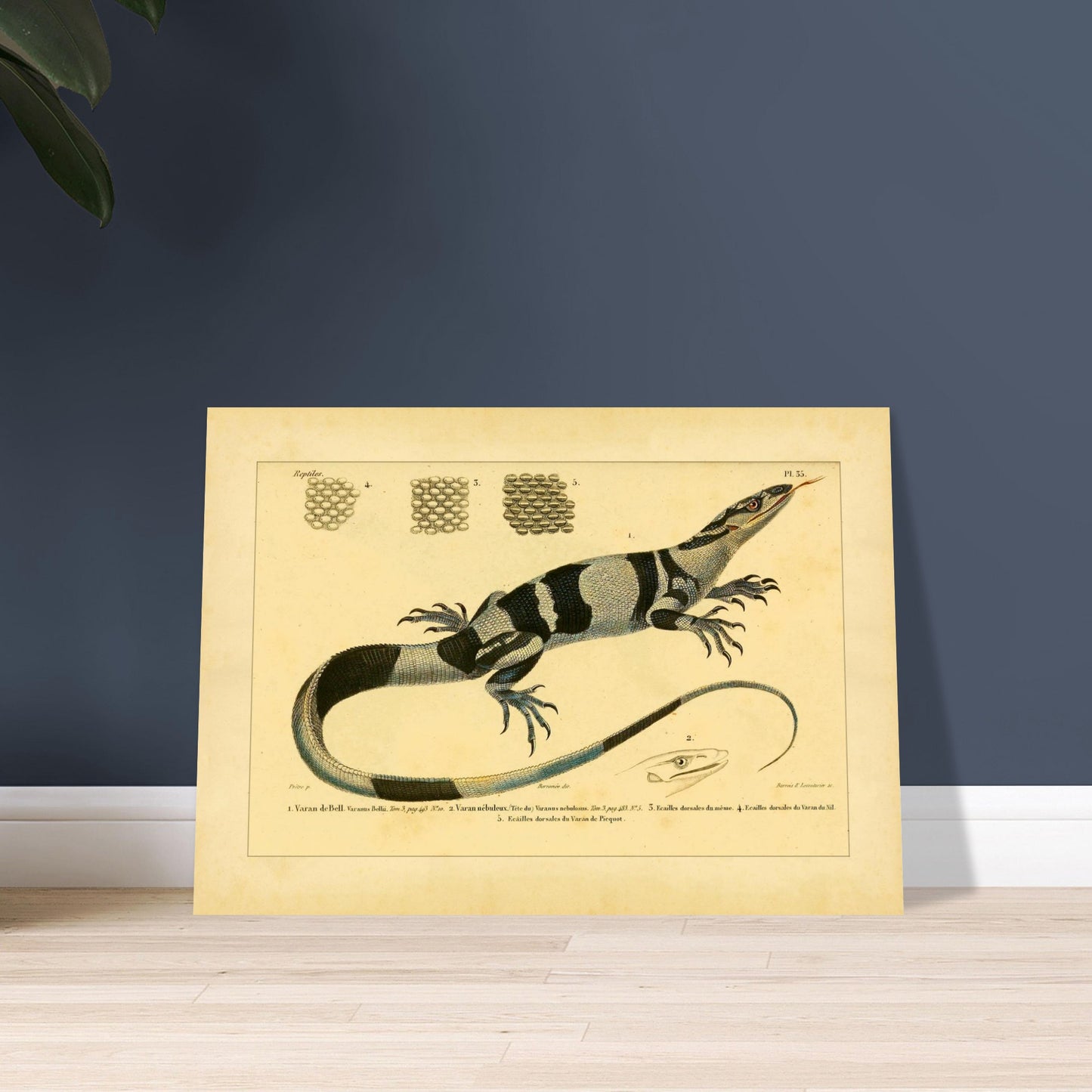 61b6b901-ffa0-4d71-9768-f9dc0320dc28