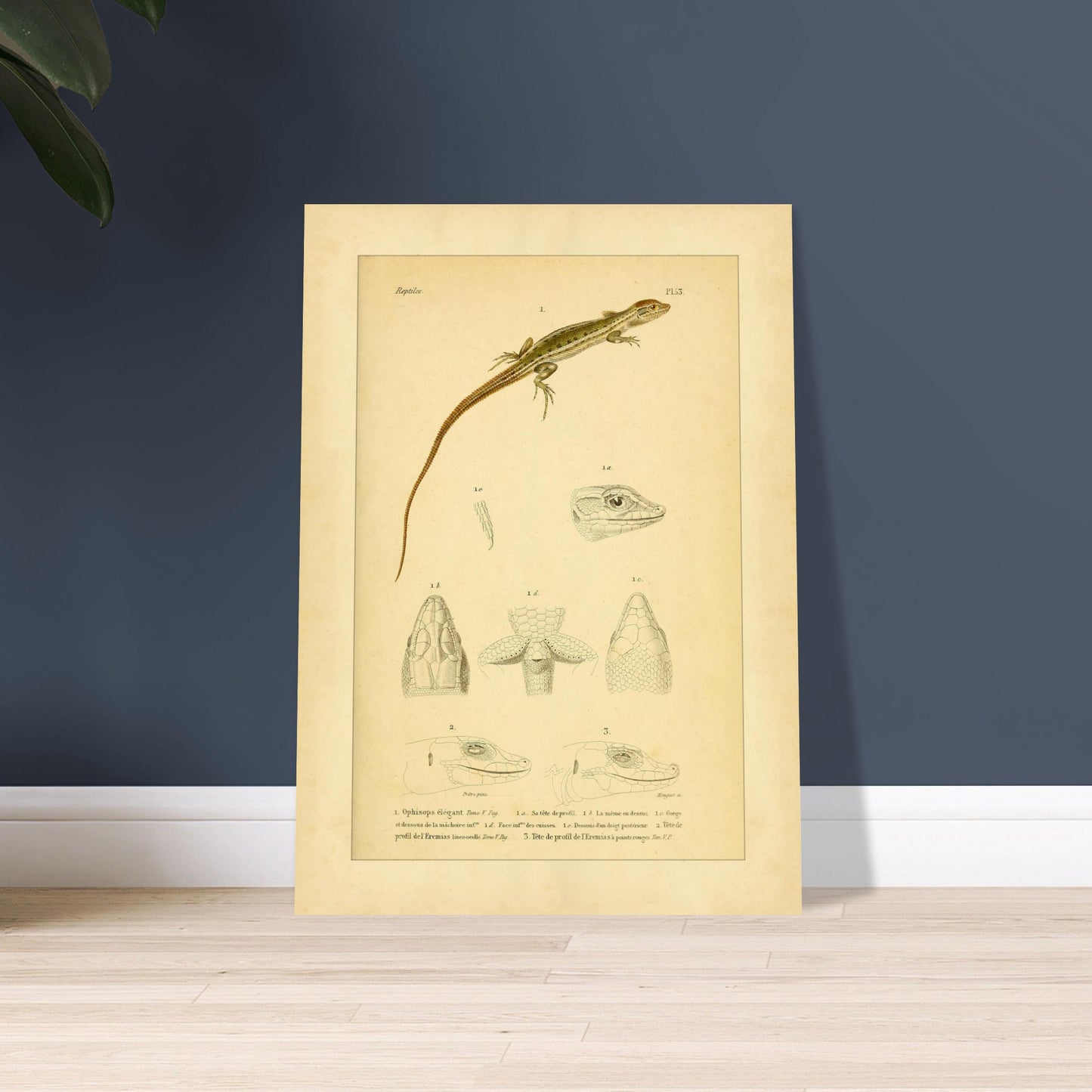 72075f11-d6e9-4817-80ad-10f524684c75