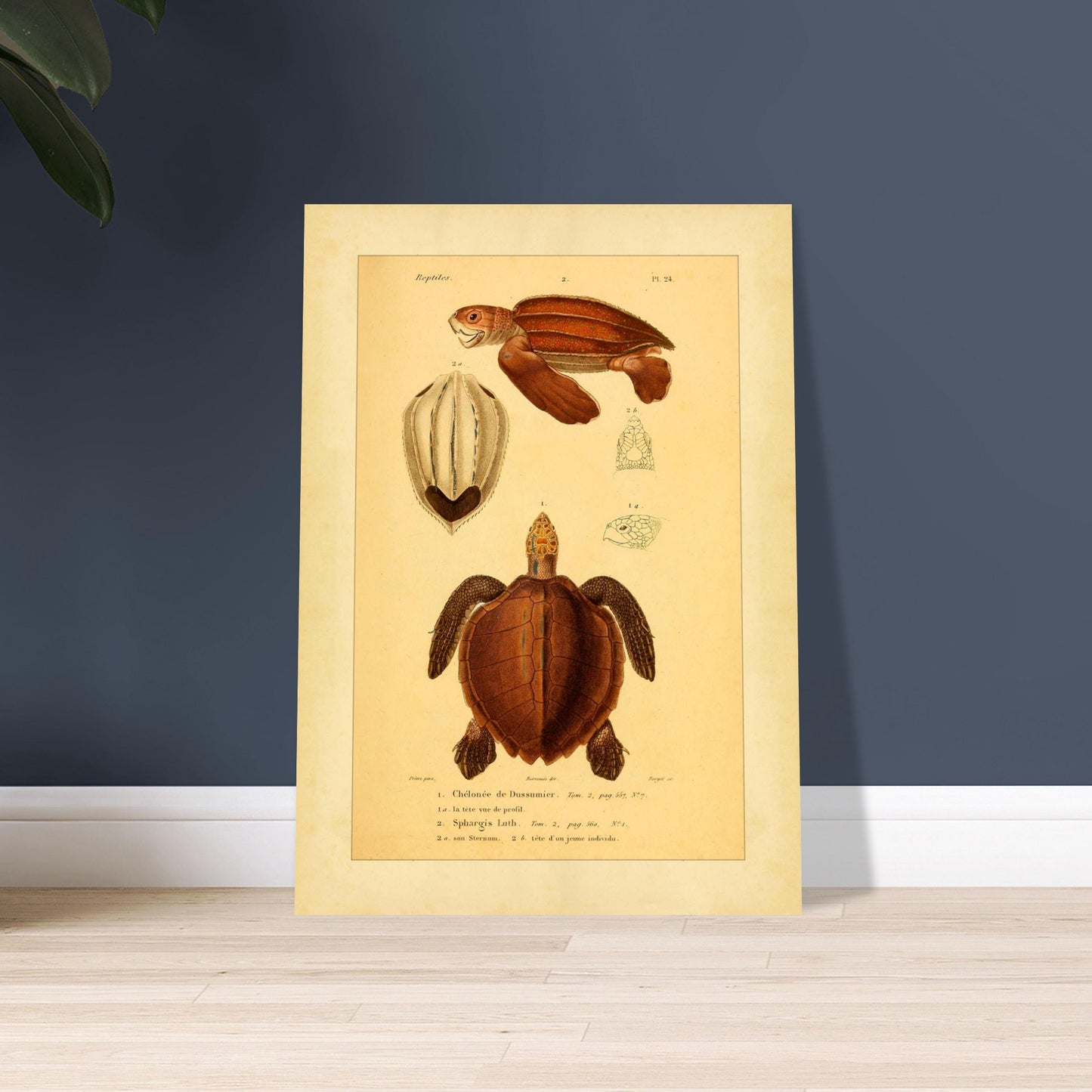 724cfae9-5d29-4811-ae85-a5ab58c8b831