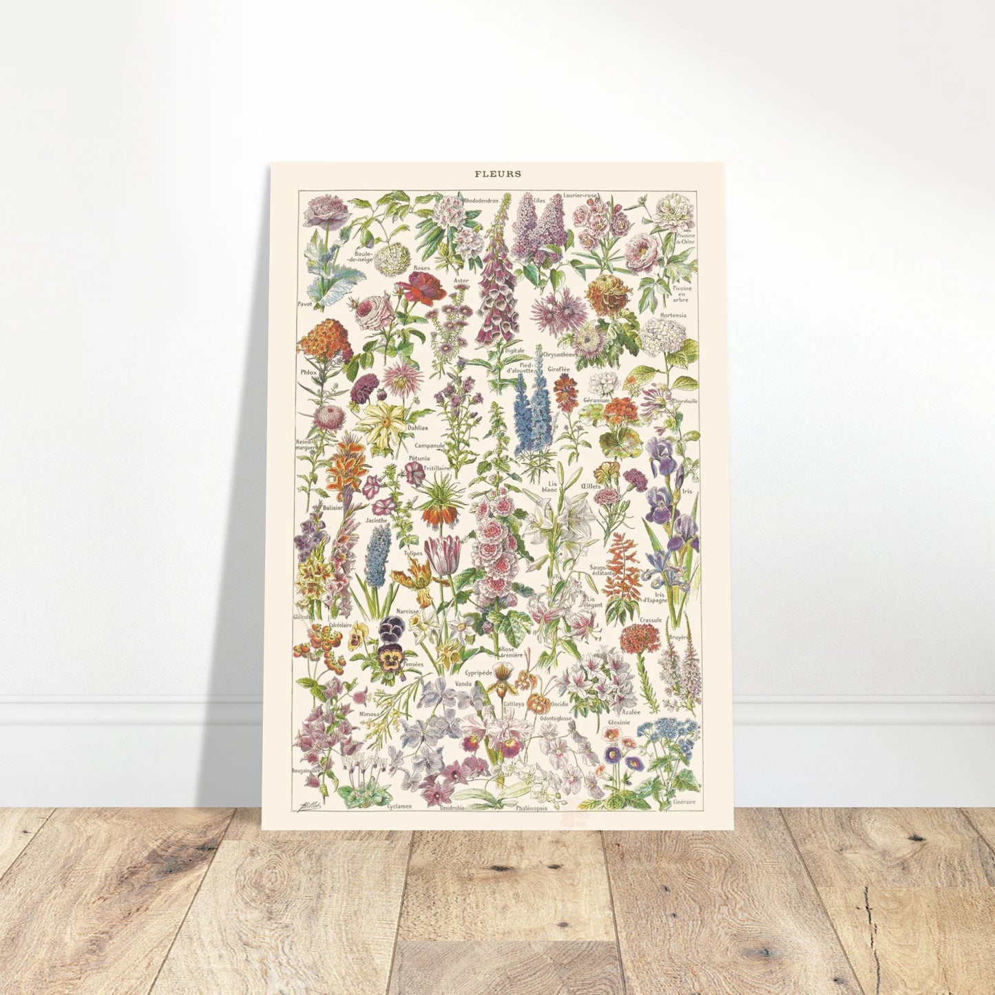 811c549d-8274-4ddb-8127-bf47ec8596c5