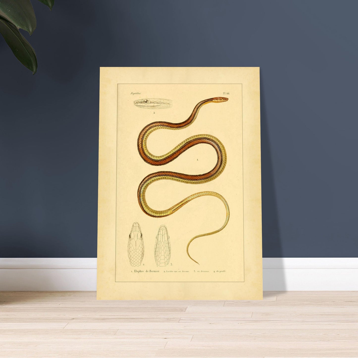 97f04785-848f-435a-a725-ceac6360f809