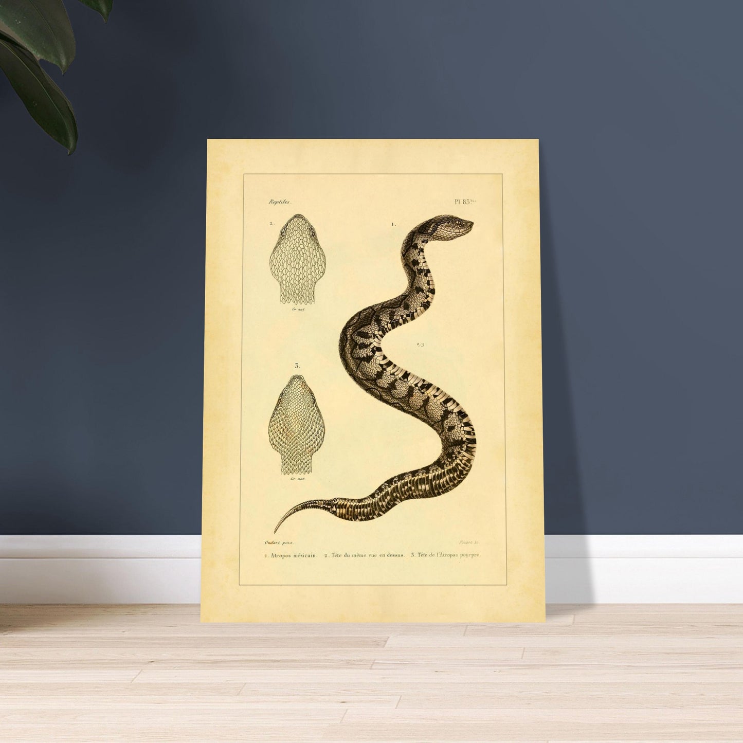 9abe4dfc-f7f8-46f6-bc87-c118c86f7c54