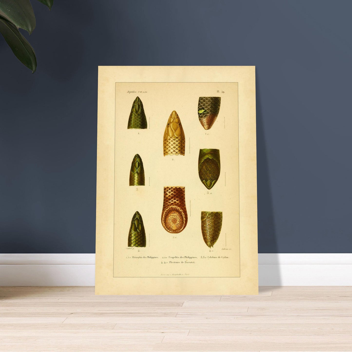 a46e1163-e9a7-4d0c-8478-9d09e63a9502