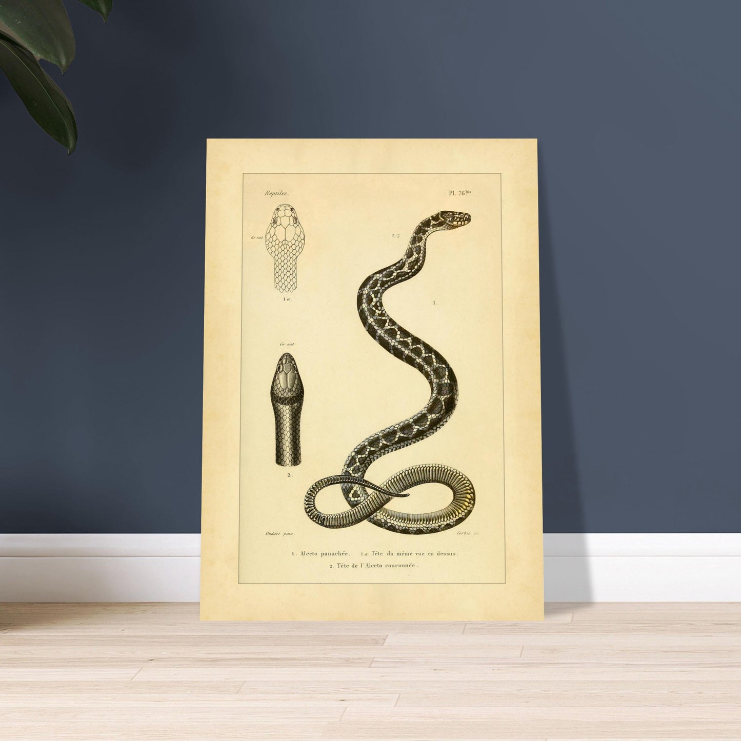 a63b3ccc-e7c4-4174-882a-ff74bbdab7d3