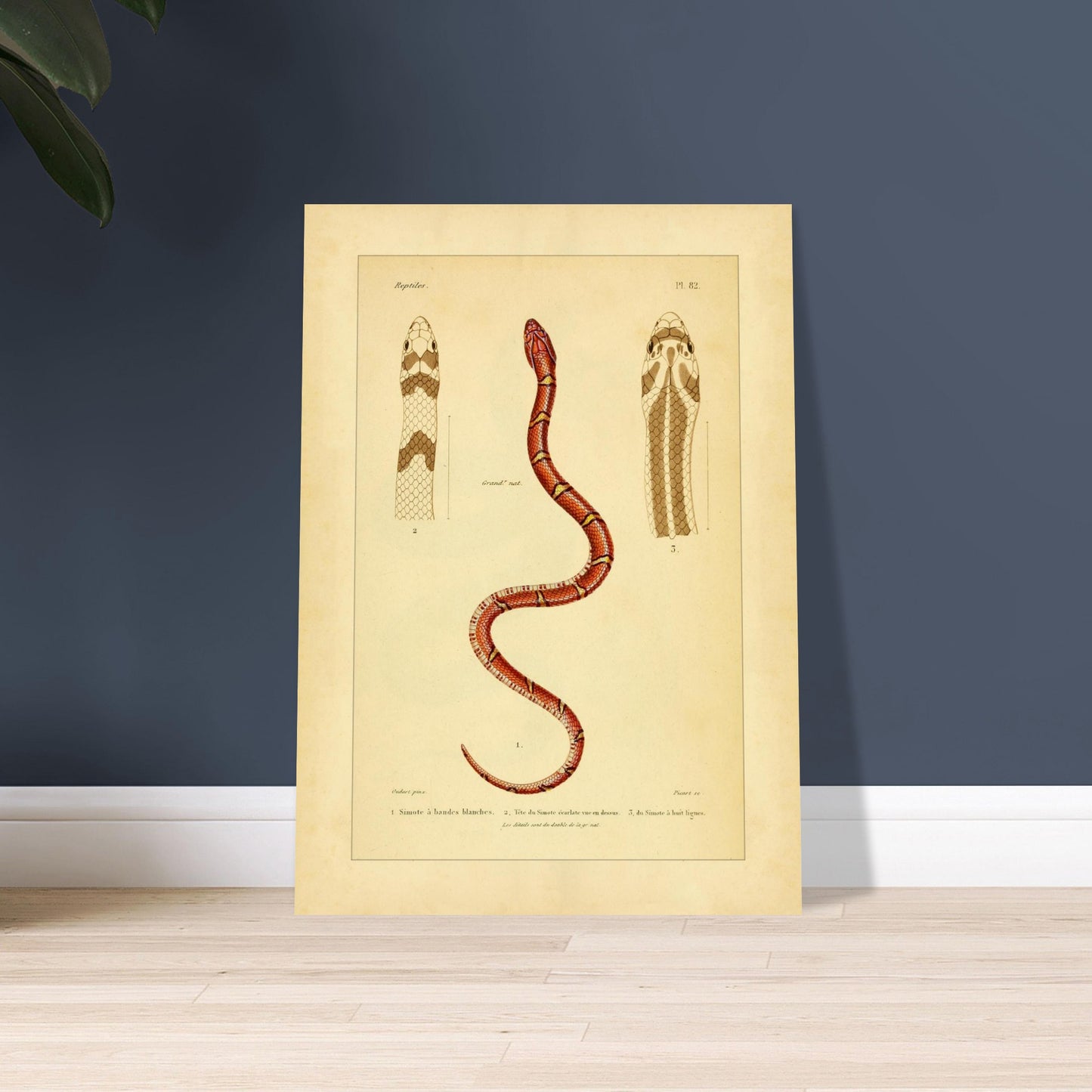 aaf1b4b5-dd61-460f-8a7c-d2f2dffc92cf