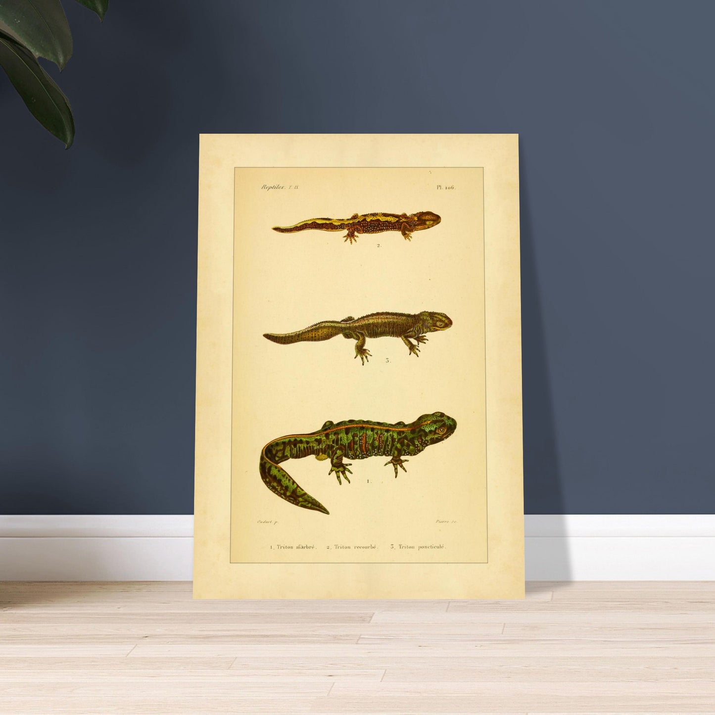 ad36b1d3-1503-4190-bfe6-91065658a359