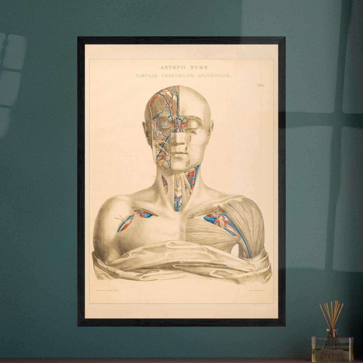 Affiche Planche Anatomique Tête et Cou par Anton Nuhn. Planche anatomique gravée par Anton Nuhn, présentant une vue détaillée de la tête et du cou humains, mettant en évidence les vaisseaux sanguins et les muscles.