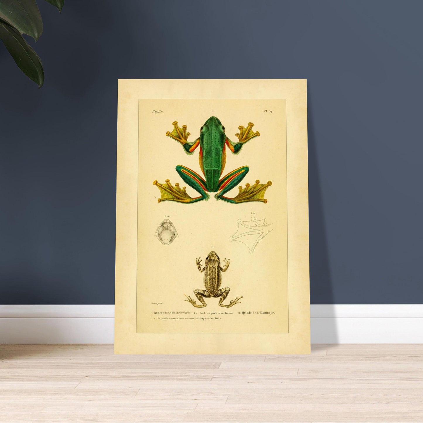 b0a2ca5e-a0fe-4c1c-a484-5fb935acb511