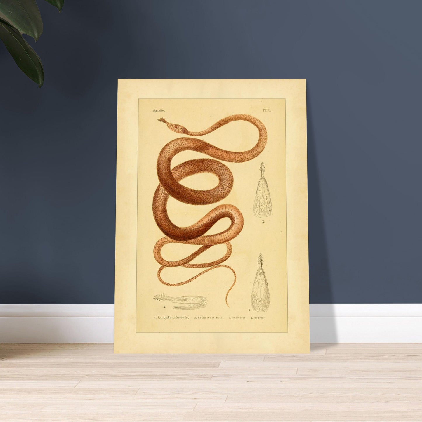 c046385b-665e-4479-9446-d6192105c535