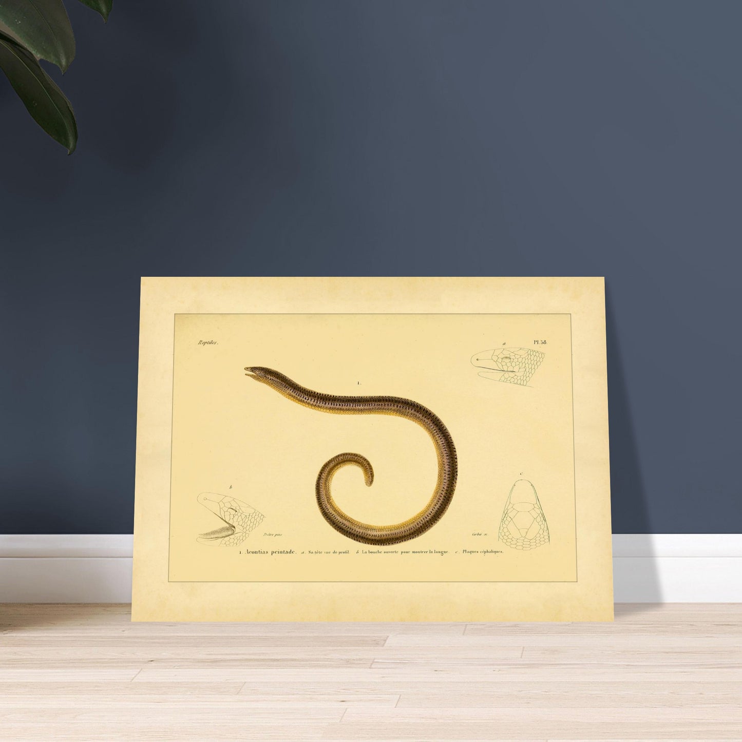 ca09c107-fbba-414c-b6d5-37a05e362363