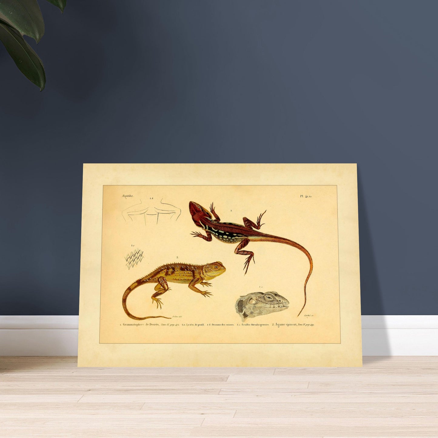 cc0404f9-430c-42d0-a70b-fd9be8106d73