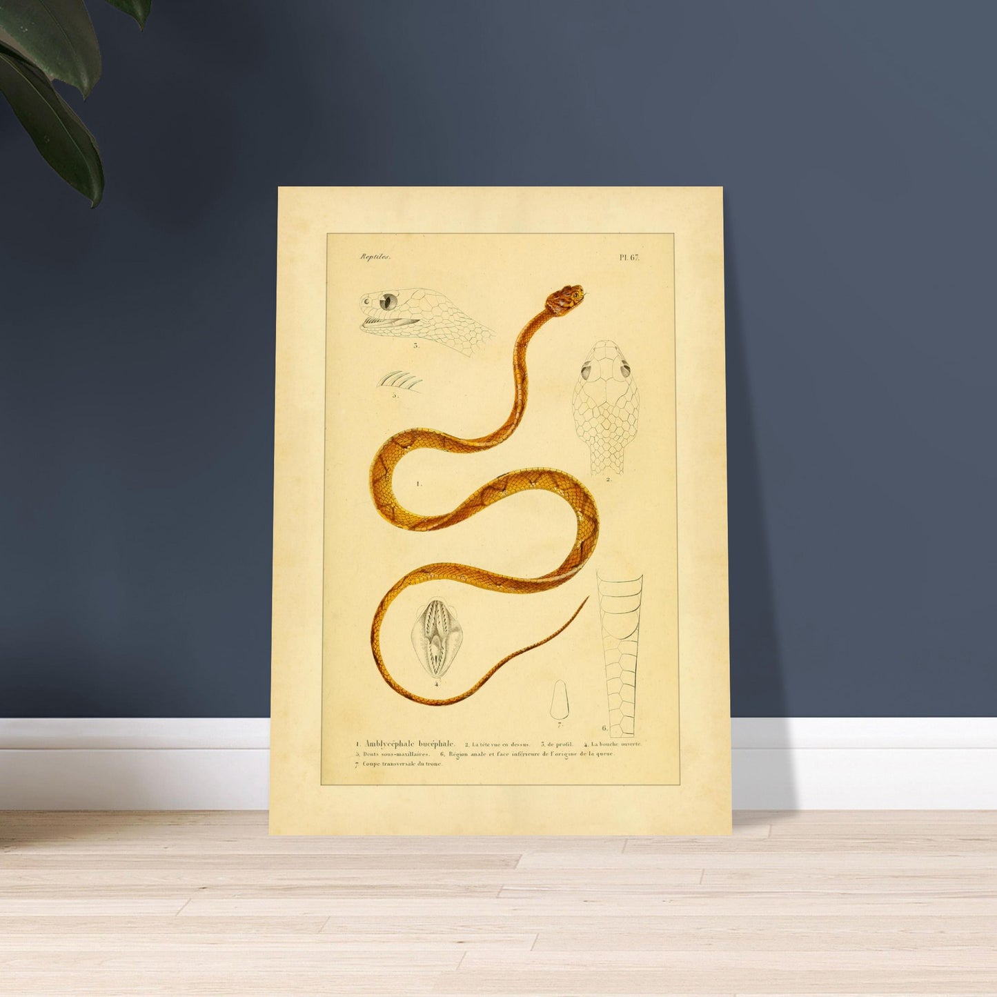 ce69bab7-46d5-4541-b024-6fd594f6e929