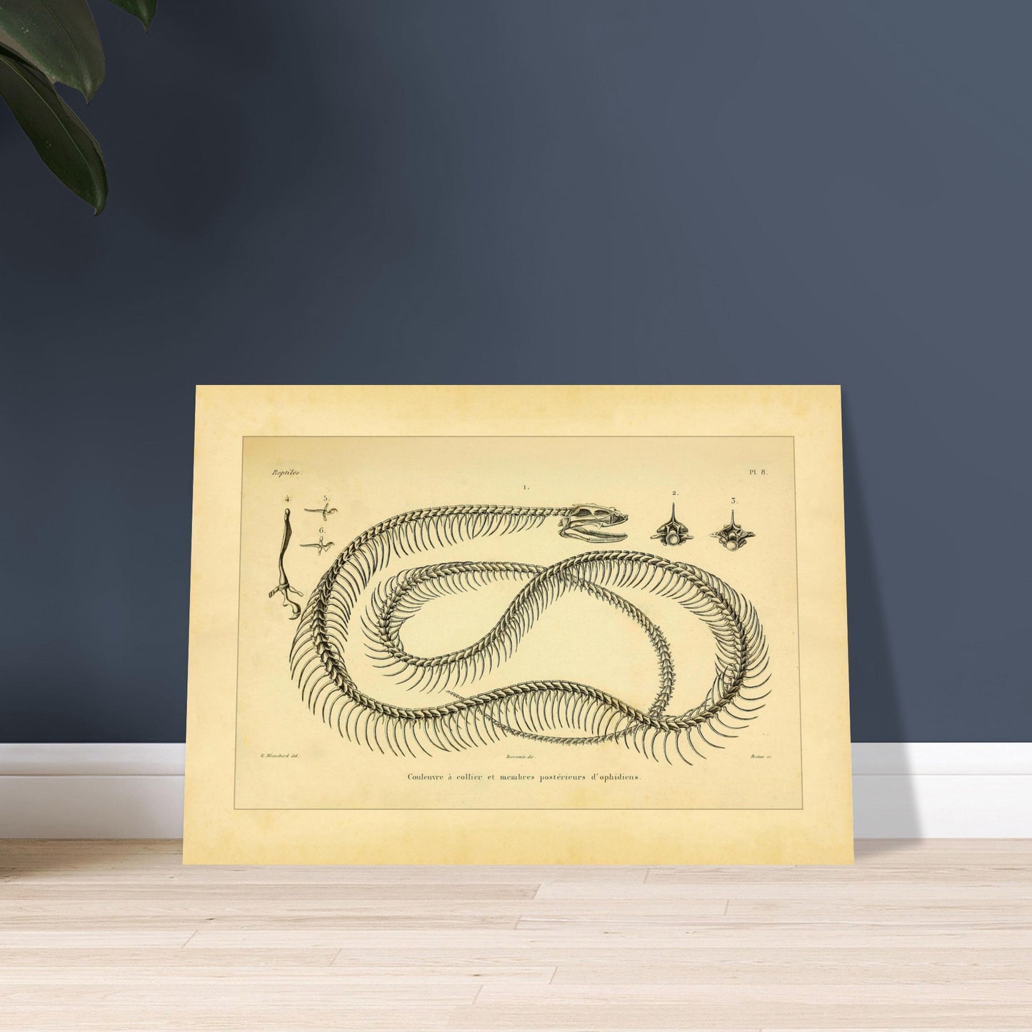 d0ab35cf-4f3f-4e83-9e15-0ba6754c9615