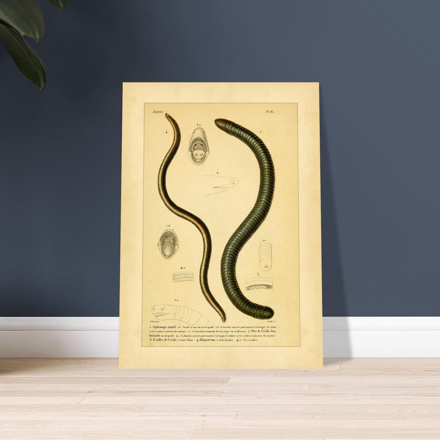 d417bd23-8421-448e-b3cf-47b82ad97f5c