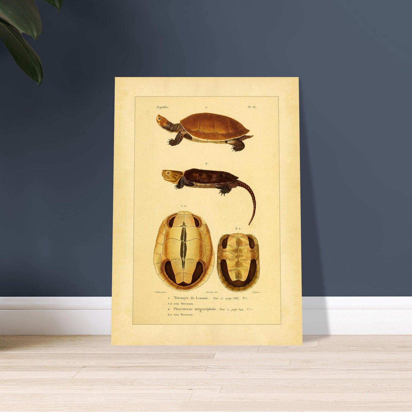 e2308998-b3bb-4b54-bcdd-e102a0e7a55e