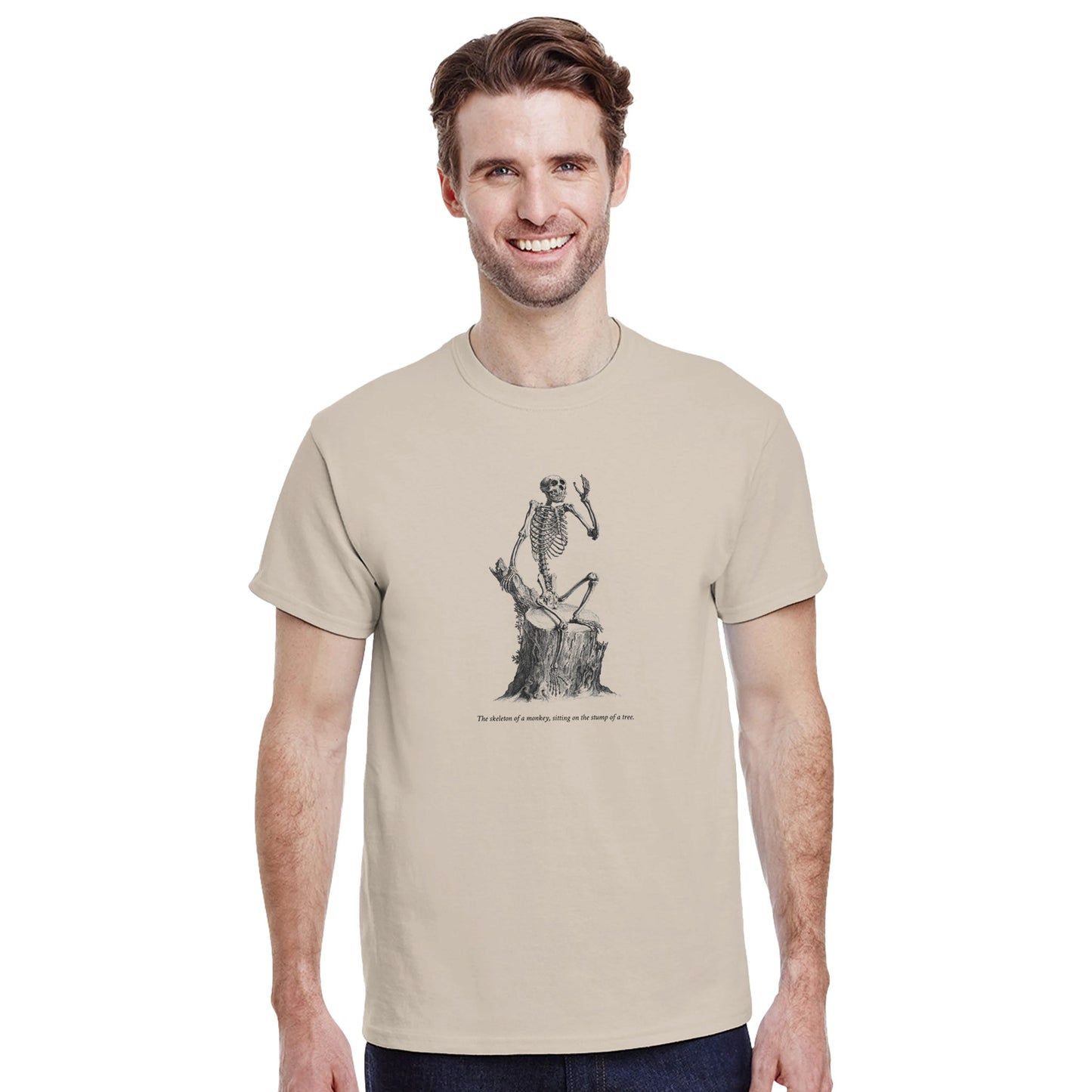 e5333665-14d1-40b0-83fe-8e6aa85ff2c4