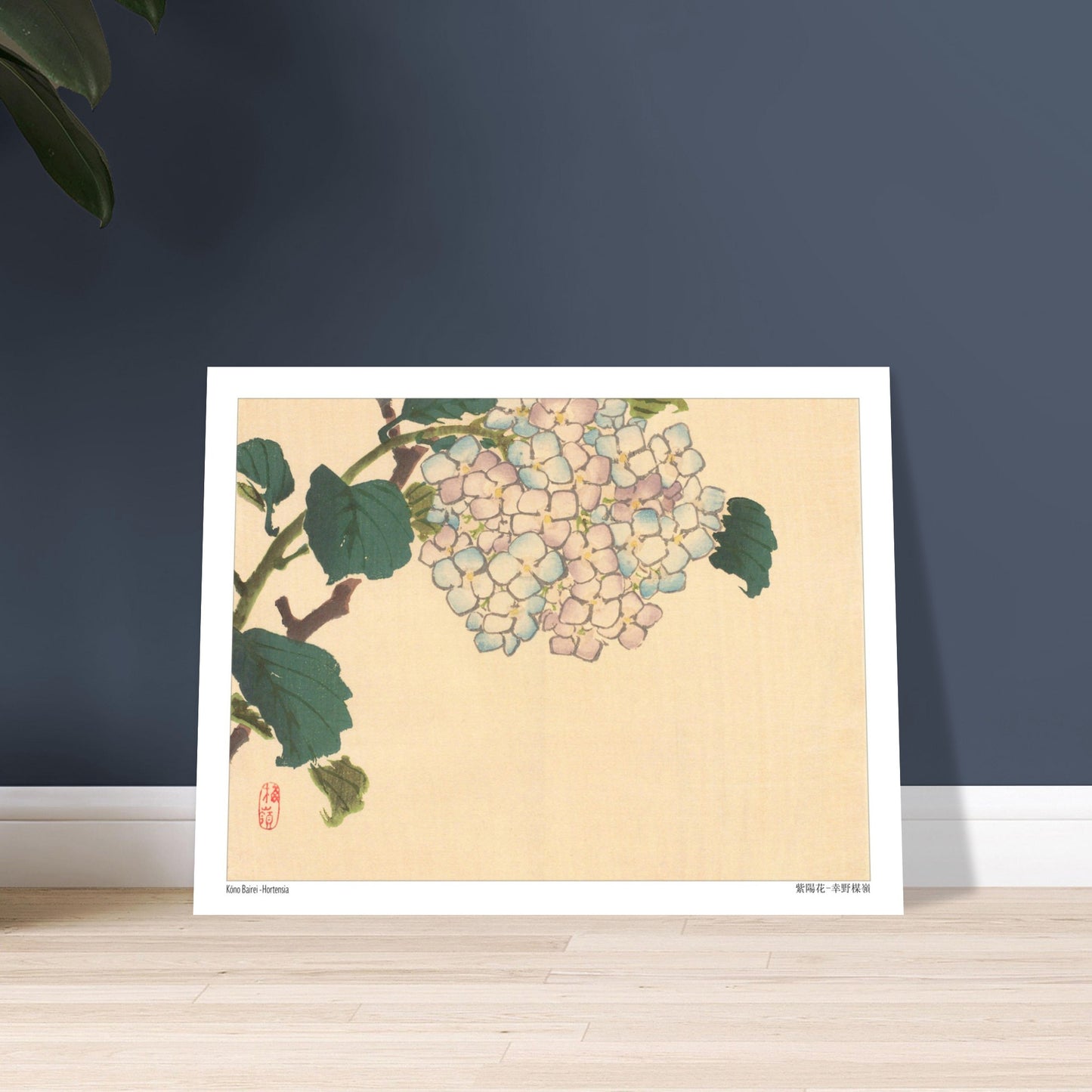 Planche botanique d'Hortensia, estampe de l'artiste japonais Kōno Bairei. Illustration botanique d'une fleur d'hortensia aux pétales bleu pâle et roses sur une branche avec des feuilles vertes. Image d'illustration 5
