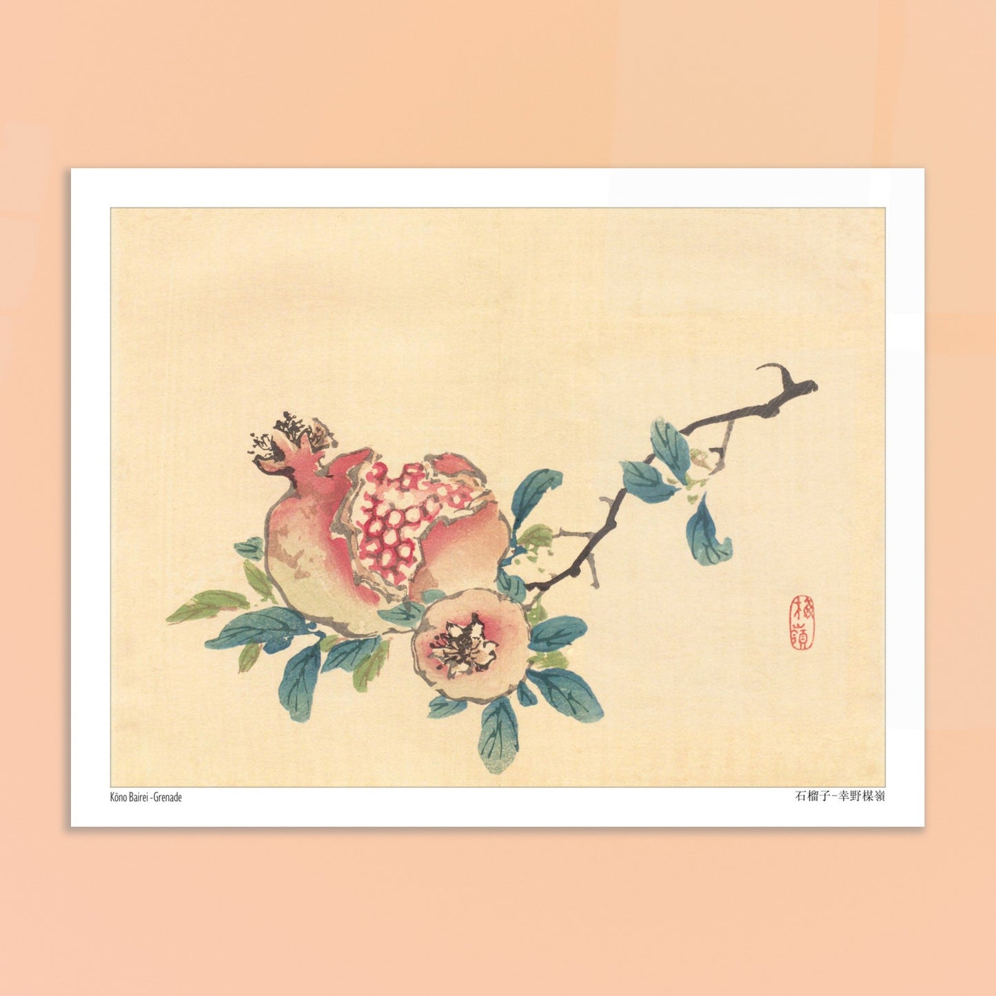 La Grenade, illustration botanique japonaise de Kōno Bairei. Une estampe japonaise représentant un fruit de grenade ouvert sur sa branche, avec des feuilles et une petite fleur. Image d'illustration 6