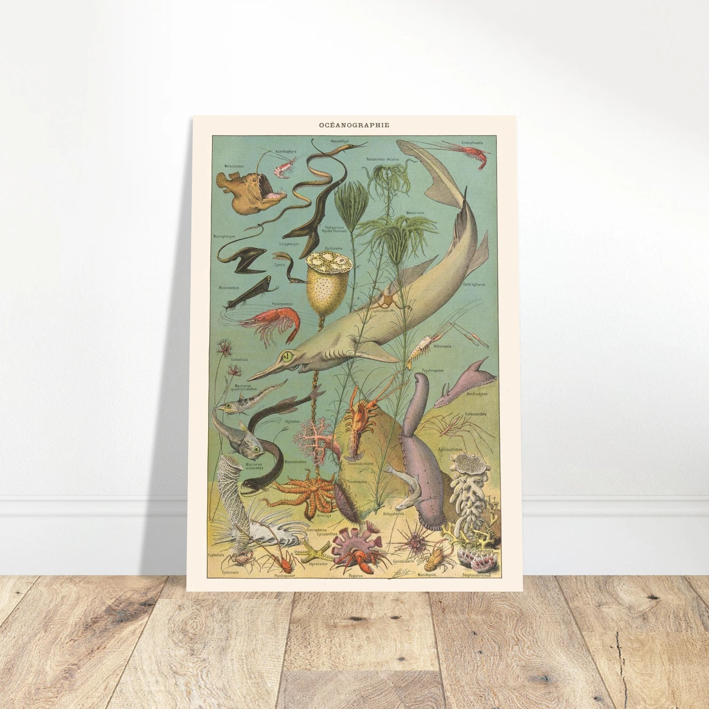 f7c143c0-e32e-4b5b-bcb7-17acc8c1a546