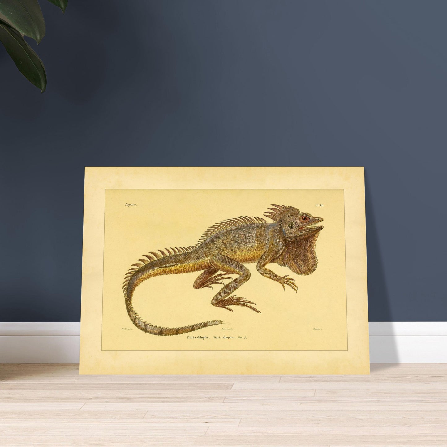 fabc3651-4f49-40d7-b621-0abaafb406d5