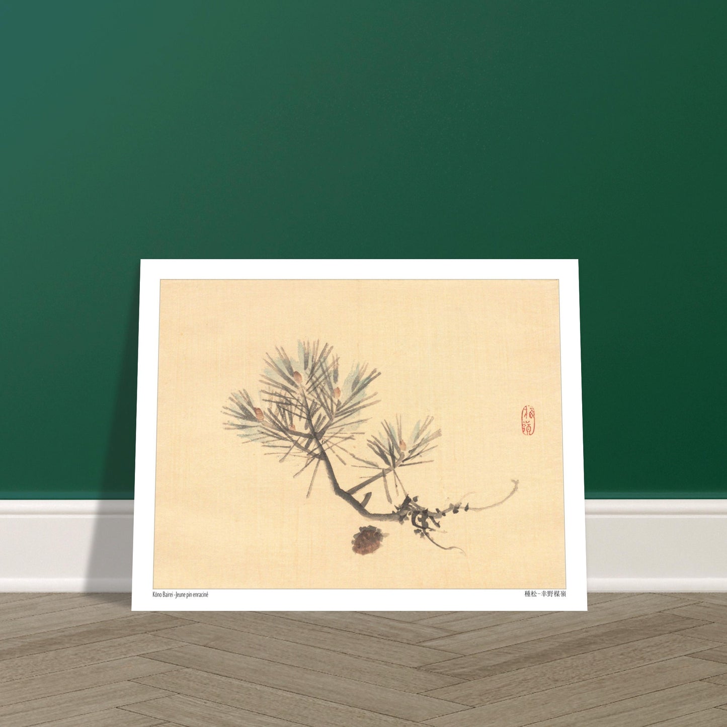 Illustration d'une Branche de Pin Japonais par Kōno Bairei. Illustration naturaliste d'une branche de pin avec des pommes de pin sur fond jaune pâle, signée Kōno Bairei. Image d'illustration 6