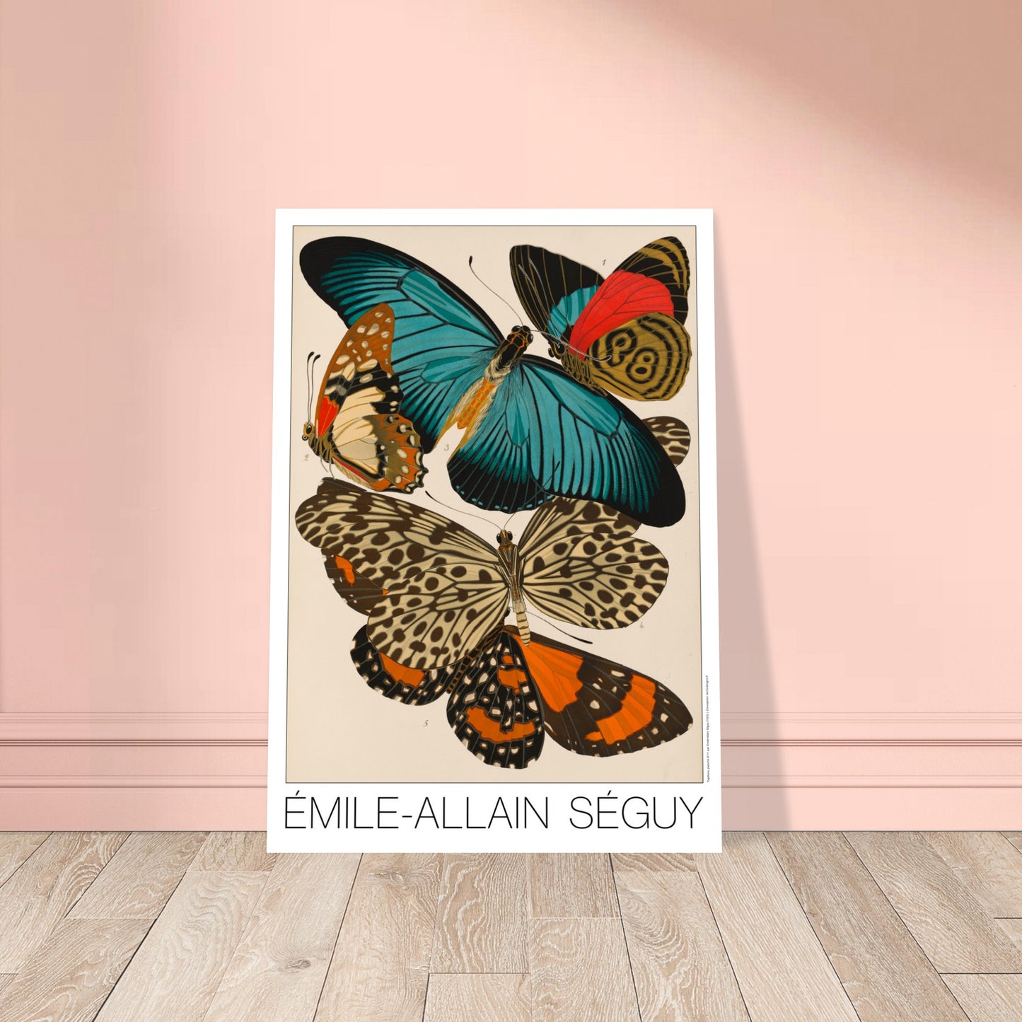 Impression d'Émile-Allain Séguy : des papillons colorés. Illustration de l'Art déco par Émile-Allain Séguy de cinq papillons aux ailes aux motifs complexes et aux couleurs vives, notamment bleues, oranges et rouges. Image d'illustration 8
