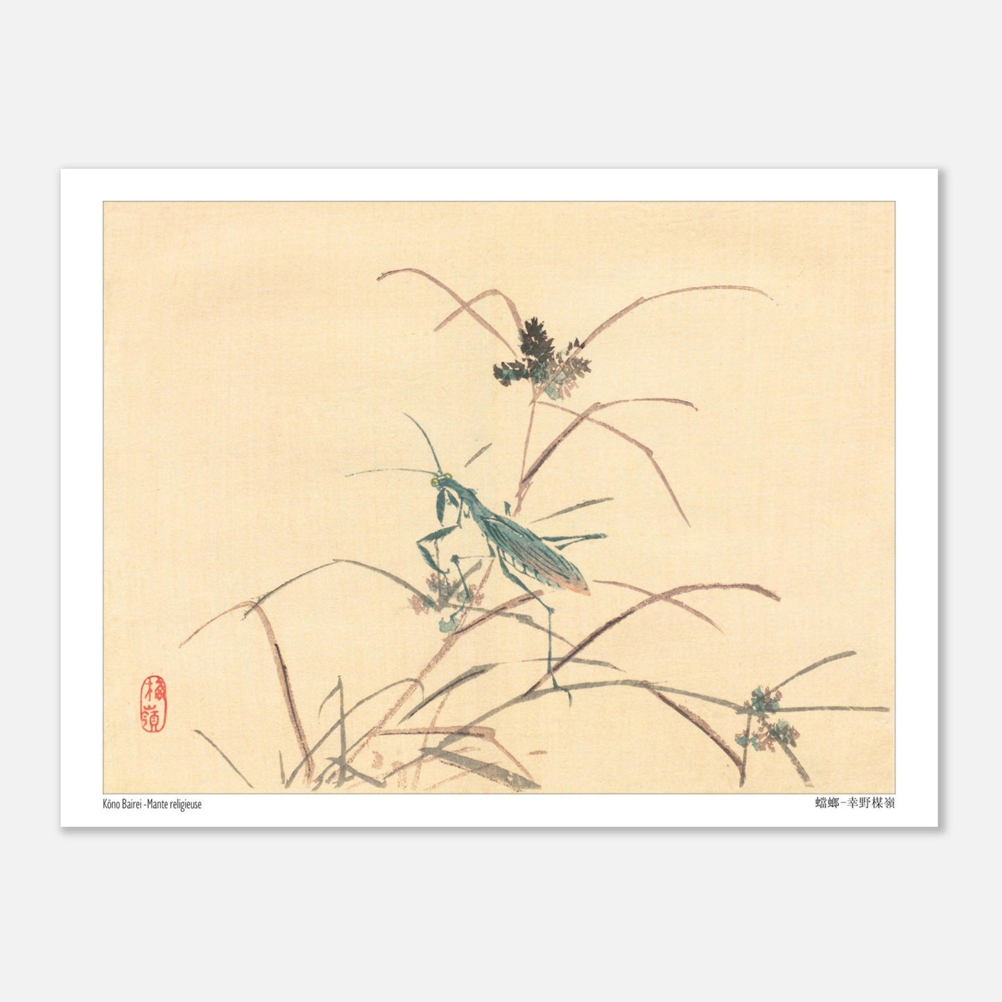 Mante religieuse - Kōno Bairei - Taille 15x20 cm
