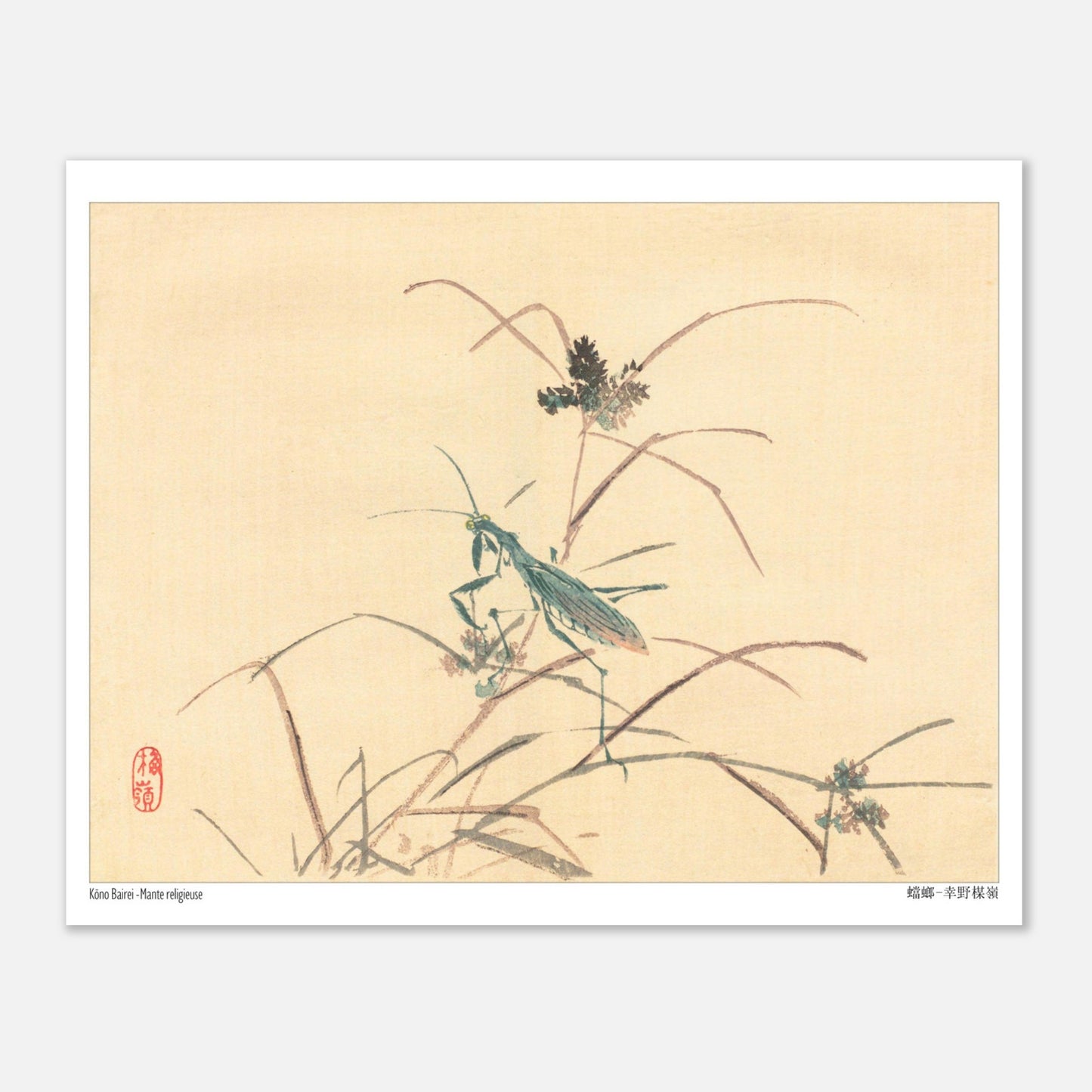 Mante religieuse - Kōno Bairei - Taille 20x25 cm