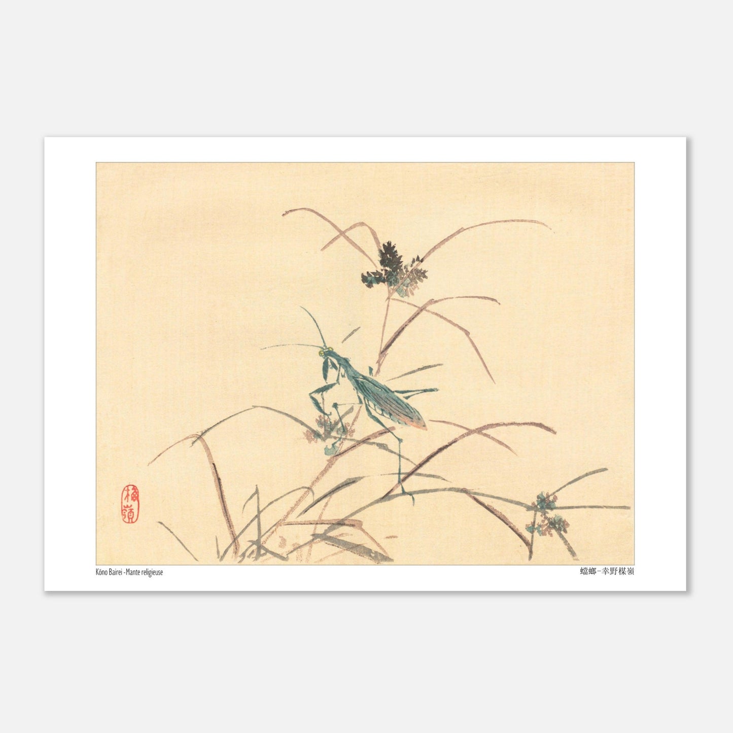 Mante religieuse - Kōno Bairei - Taille 21x29,7 cm (A4)