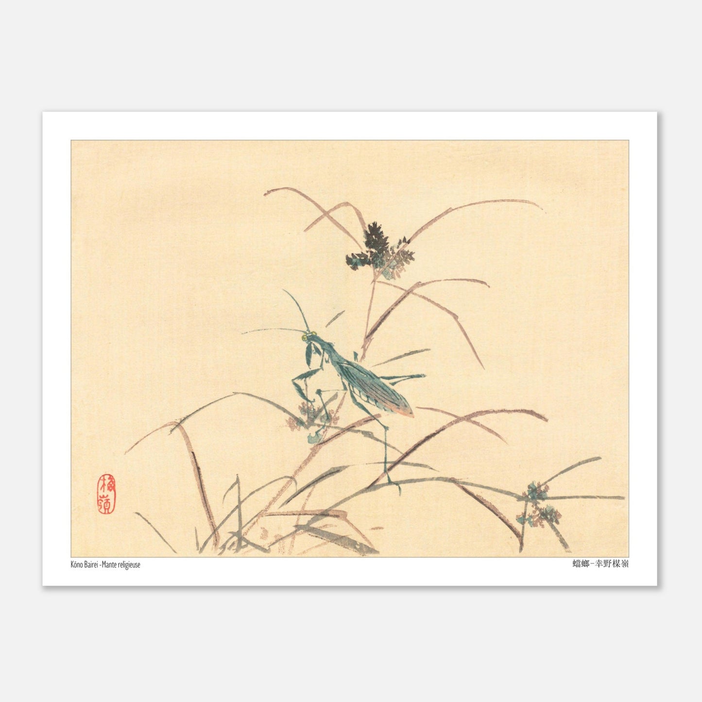 Mante religieuse - Kōno Bairei - Taille 27x35 cm