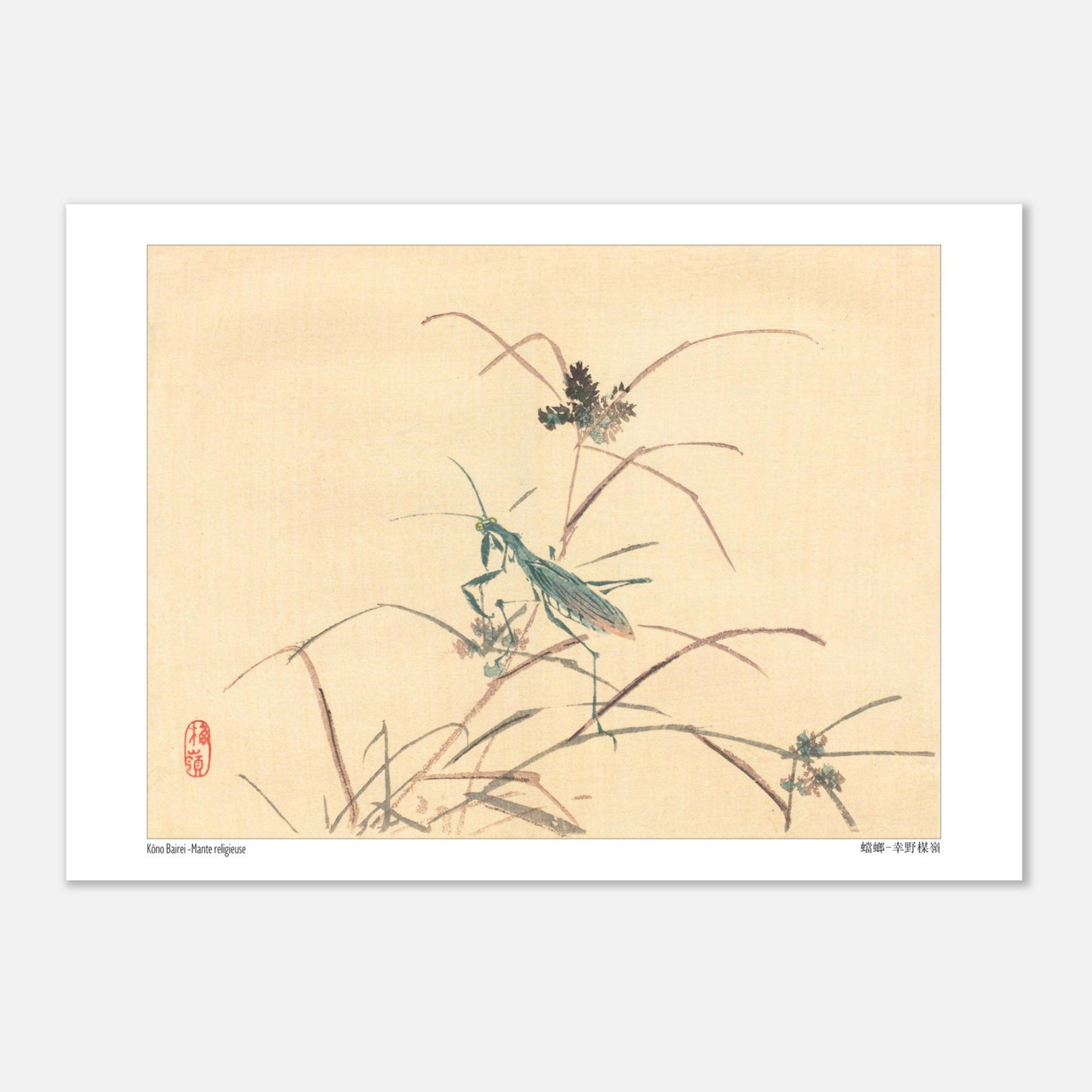 Mante religieuse - Kōno Bairei - Taille 29,7x42 cm (A3)