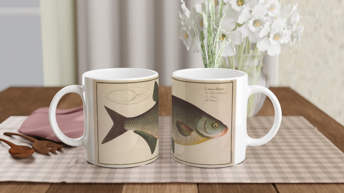 Mug en céramique avec illustration de Brème (Cyprinus brama) par Marcus Elieser Bloch. Mug en céramique blanche orné d'une illustration naturaliste de la brème (Cyprinus brama) extraite de l'Ichtyologie de Marcus Elieser Bloch, montrant le poisson de profil avec une légende textuelle latine et française.