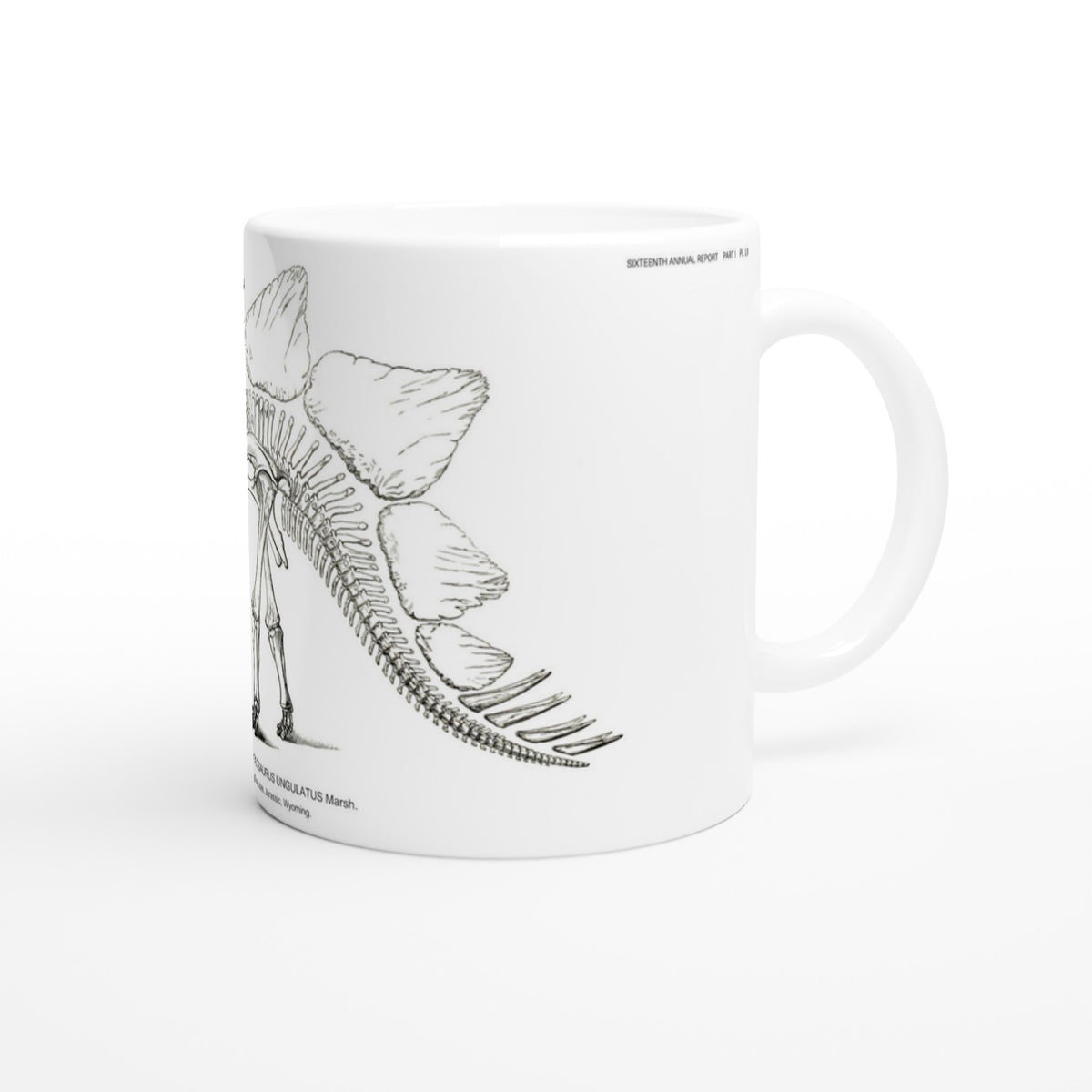 Mug en céramique illustré d'une gravure scientifique de squelette de Stégosaure. Mug en céramique blanche illustré d'une gravure scientifique représentant le squelette d'un Stégosaure avec la mention textuelle U.S. Geological Survey.