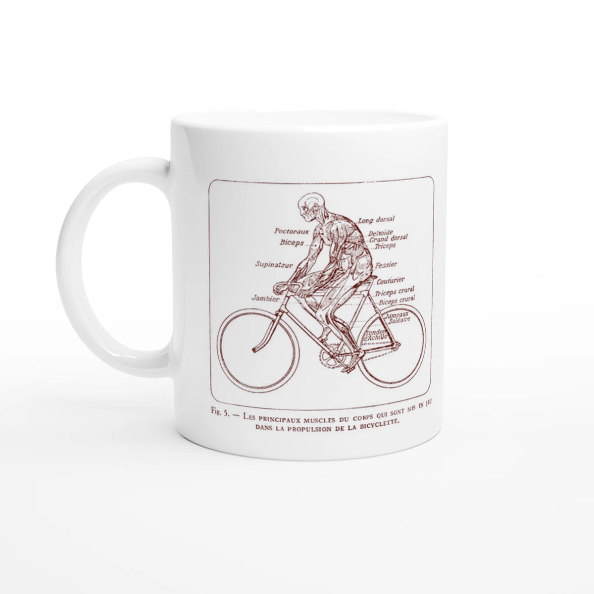 Mug illustré d'une planche anatomique d'écorché à bicyclette. Mug blanc orné d'une illustration scientifique ancienne en sépia représentant un corps humain écorché à bicyclette, avec le détail anatomique des muscles sollicités.